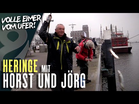Heringe mit Horst Hennings und Jörg Ovens!