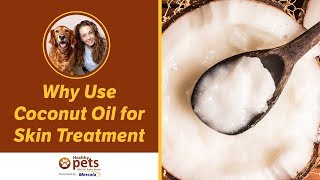 Dr. Becker: Why Use Coconut Oil for Skin Treatment