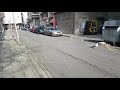 Seagulls Fight Over Food