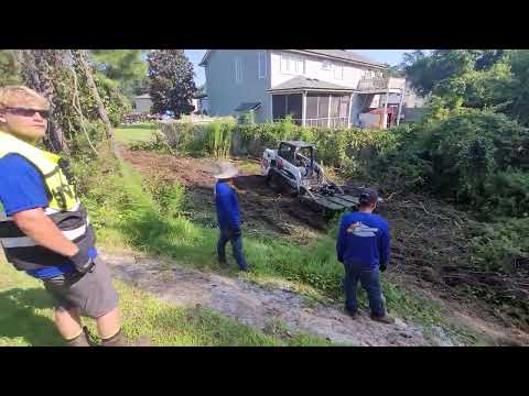 Land Clearing Project