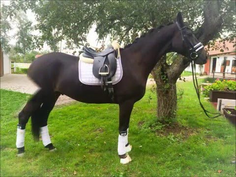 4j. Wallach v. Millennium