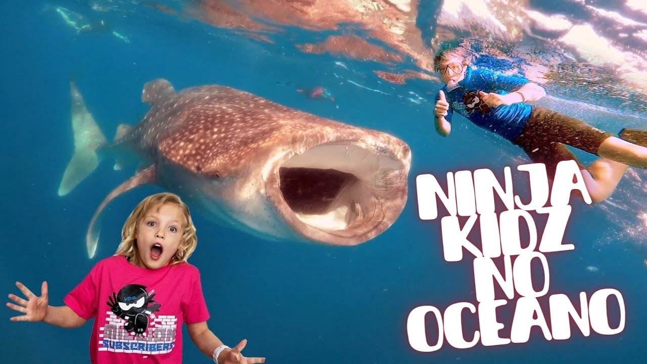 Ninja Kidz nada no oceano com tubarões-baleia 🦈 História em português para crianças