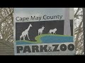 NJ man leaves $1.4M estate to Cape May County Zoo