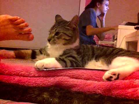 samson eating me toes