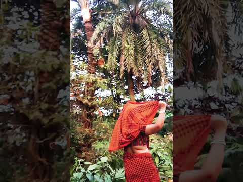 tare chunariya#short#music#chumki gayen volgs.