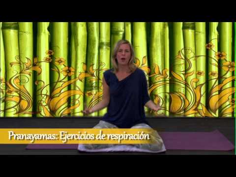 download lagu mp3 mp4 Los Nadis O Canales Energticos, download lagu Los Nadis O Canales Energticos gratis, unduh video klip Los Nadis O Canales Energticos