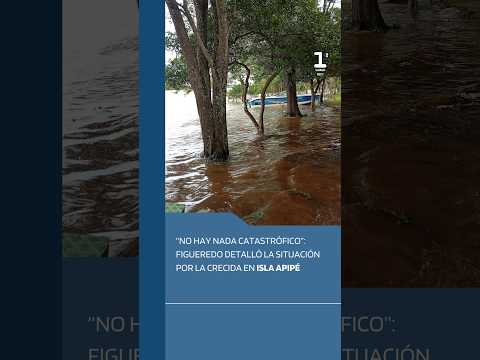 Crecida del Paraná: el agua ya cubre el 40% de la Isla Apipé.