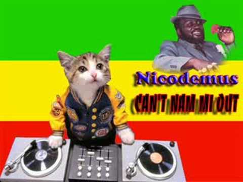 NIcodemus - can't nam mi out
