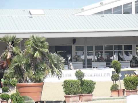 ABREK VAN LA ROCHE von ABREK a.d. DOLFANGERIN von FLÜGEL VAN LA ROCHE