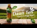 Iklan New Frestea Ini Baru Teh Asli