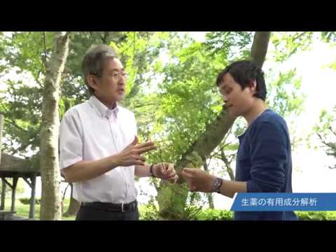 バイオデータサイエンス学科 長浜バイオ大学研究紹介 Vol.1-1 亀村和生先生