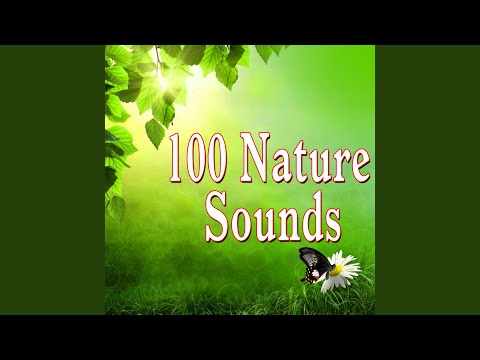 Heavy Rain Punctuated with Two Heavy Claps of Thunder