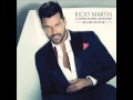 Matame Otra Vez-Ricky Martin version bachata