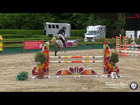 2. Burghof-Online-Hengstschau (06.03.2022)