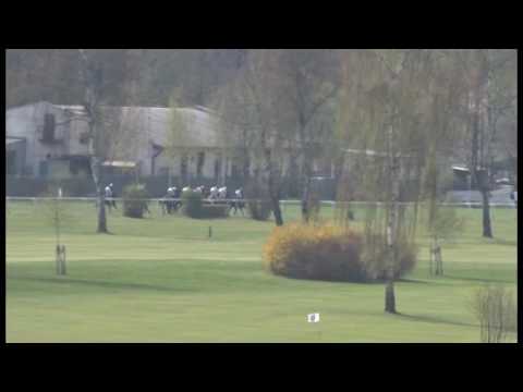 KV, 29. 4. 2017, 4. dostih - Visprion Cup - Visprion Cup