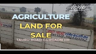  Residential Plot for Sale in Taoru, Gurgaon