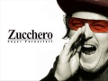 Zucchero SHAKE