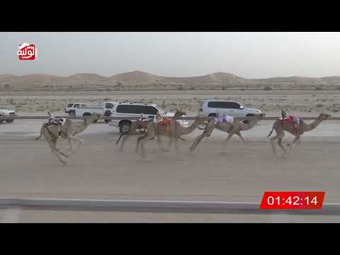  ش 10 (مايخاف) لـ سلطان عيسى فنوشه المنصوري 3:07 ، شارة الشيخ طحنون 2026/7/31 فطامين الخزنة