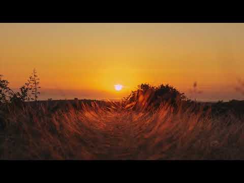 Sebas Ramis, Sabrina Chyld, Cee ElAssaad - Fallen (Cee ElAssaad Remix)