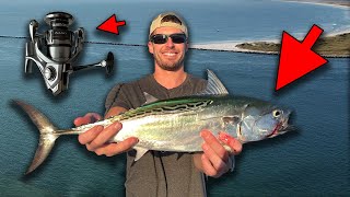 NEW Shimano Nasci 2021 - ULTIMATE TEST - False Albacore