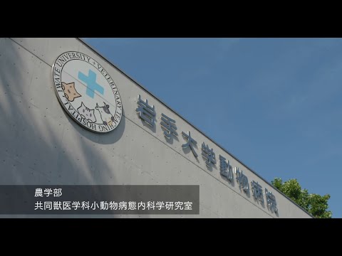 獣医学部　共同獣医学科　研究室紹介動画（小林沙織助教研究室：小動物病態内科学研究室）専門分野：獣医学
