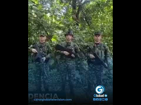 Ejército Nacional ubica depósito ilegal de armas en zona rural de Mapiripán, Meta