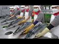 Salmon fish cutting & salmon donburi making! / 鮭魚加工, 鮭魚丼飯 - Taiwanese food factory