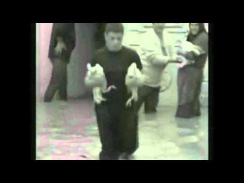 JustMarshal - Critica Teaser (2)