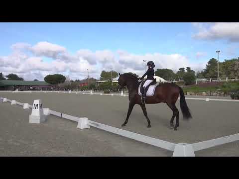 Prova iniciados 1 - Lara carreira e Endiabrado