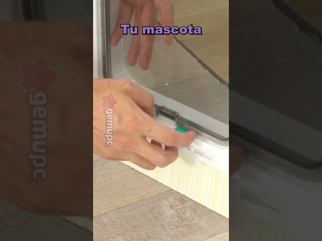 Vídeo relacionado con NAMSAN Puerta interior para gatos, color blanco, apertura de solapa de 7.1 x 7.3 pulgadas, puerta de gato con bloqueo de 4 vías para puerta exterior, puerta de mascotas resistente a la intemperie para