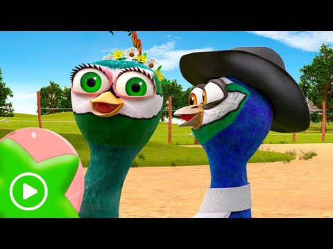 The Peacock and the Peahen Are Getting Married | Zenon´s Farm The Series  | Zenon The Farmer