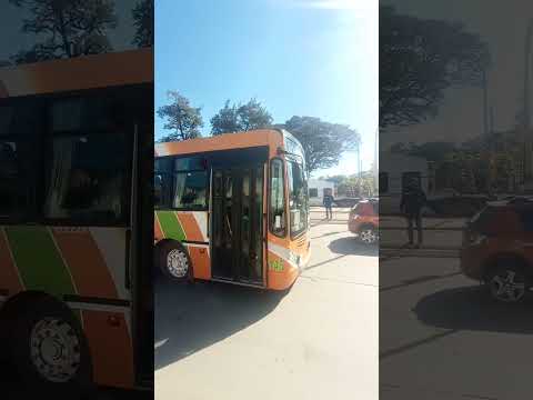 Linea Exprebus Tucumán