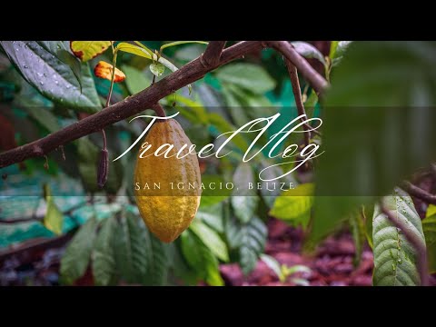 Discover the Ancient Art of Mayan Chocolate Making | From Bean to Drink in Belize Day 6