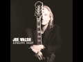Joe Walsh - Hi-Roller Baby