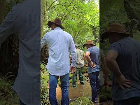 Sítio com 3 casas, igreja, galpão e produção rural pronta – Tomazina/PR | 43 99627-5172