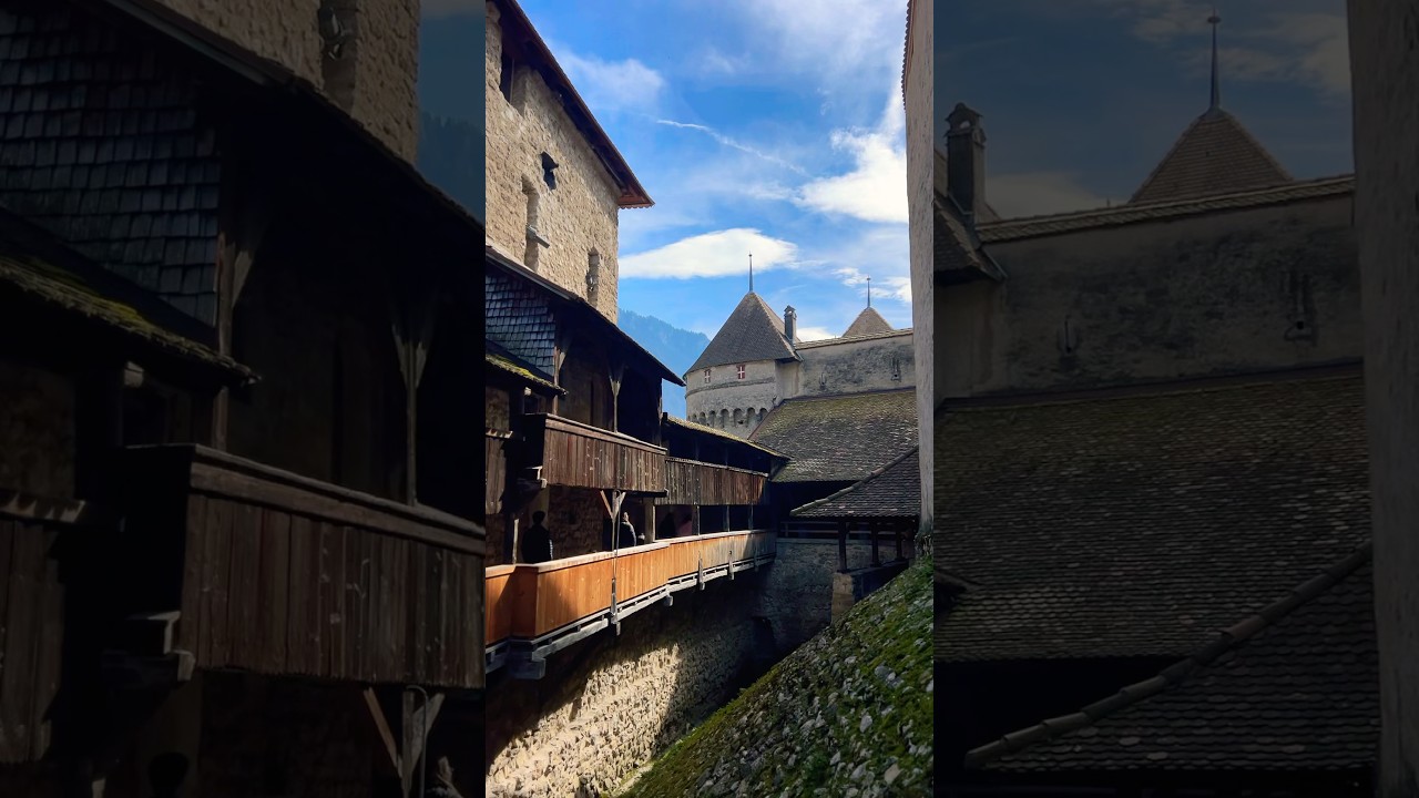 YouTube Short thumbnail