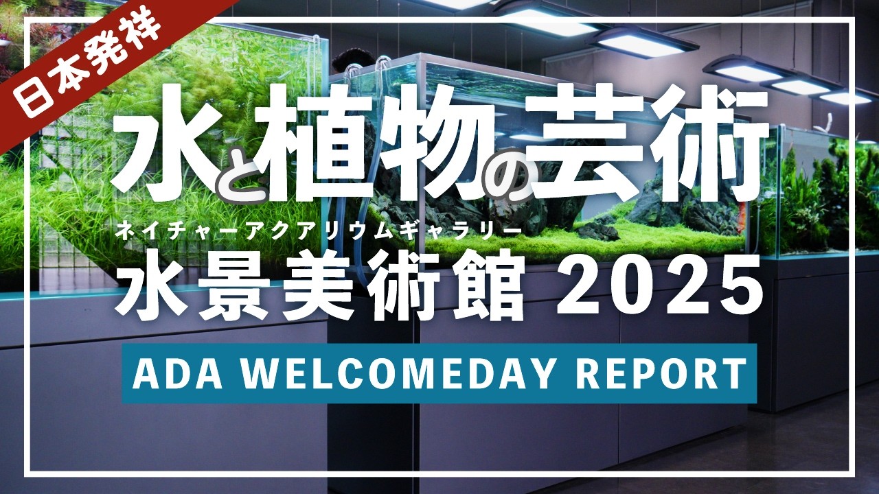 【アクアリウム】まるで美術館！ADA NATURE AQUARIUM GALLERY 2025 全水景を紹介！日本発祥の水と植物の芸術『ネイチャーアクアリウム』の聖地を紹介！【水草水槽】