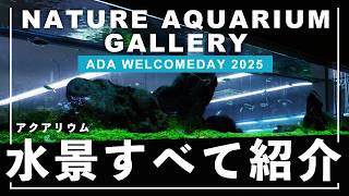 【アクアリウム】まるで美術館!ADA NATURE AQUARIUM GALLERY 2025 全水景を紹介!日本発祥の水と植物の芸術『ネイチャーアクアリウム』の聖地を紹介!【水草水槽】