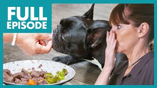 Pampered Frenchie Only Eats Gourmet Hand-fed Food!🍱 | Full Episode | It's Me or the Dog