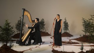 Marilyne naaman nachez harp version ماريلين نعمان نشاز