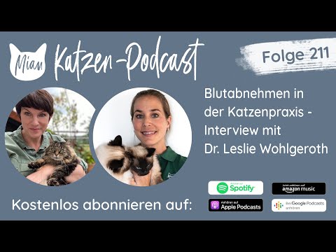 #211 Blutabnehmen in der Katzenpraxis | Miau Katzen-Podcast