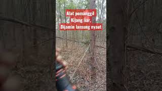 Download lagu Suara panggil Kijang liar#shorts mp3 Download lagu Suara panggil Kijang liar#shorts mp3