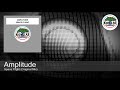 Amplitude - Space Flight (Original Mix)