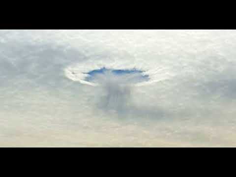 Joel Friedrich Steinfeldt   Looja arm