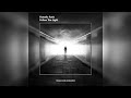 Fanatic Funk - Follow The Light (Original Mix)