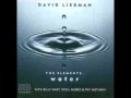 DAVID LIEBMAN - Water