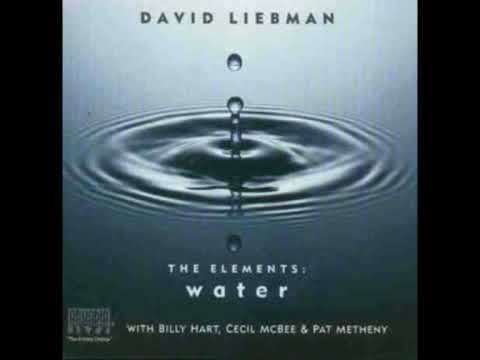 DAVID LIEBMAN - Water