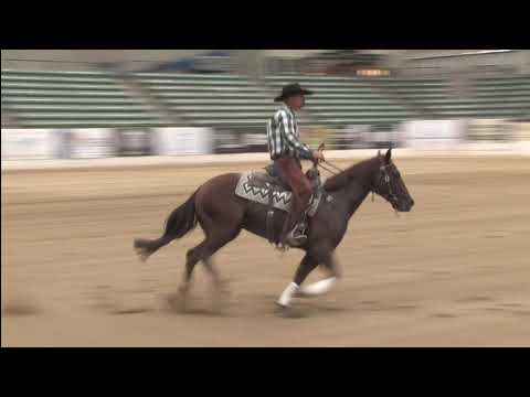 Outreygous Diamond Shown by Nick Dowers - 2021 Snaffle Bit Futurity (Open Rein)
