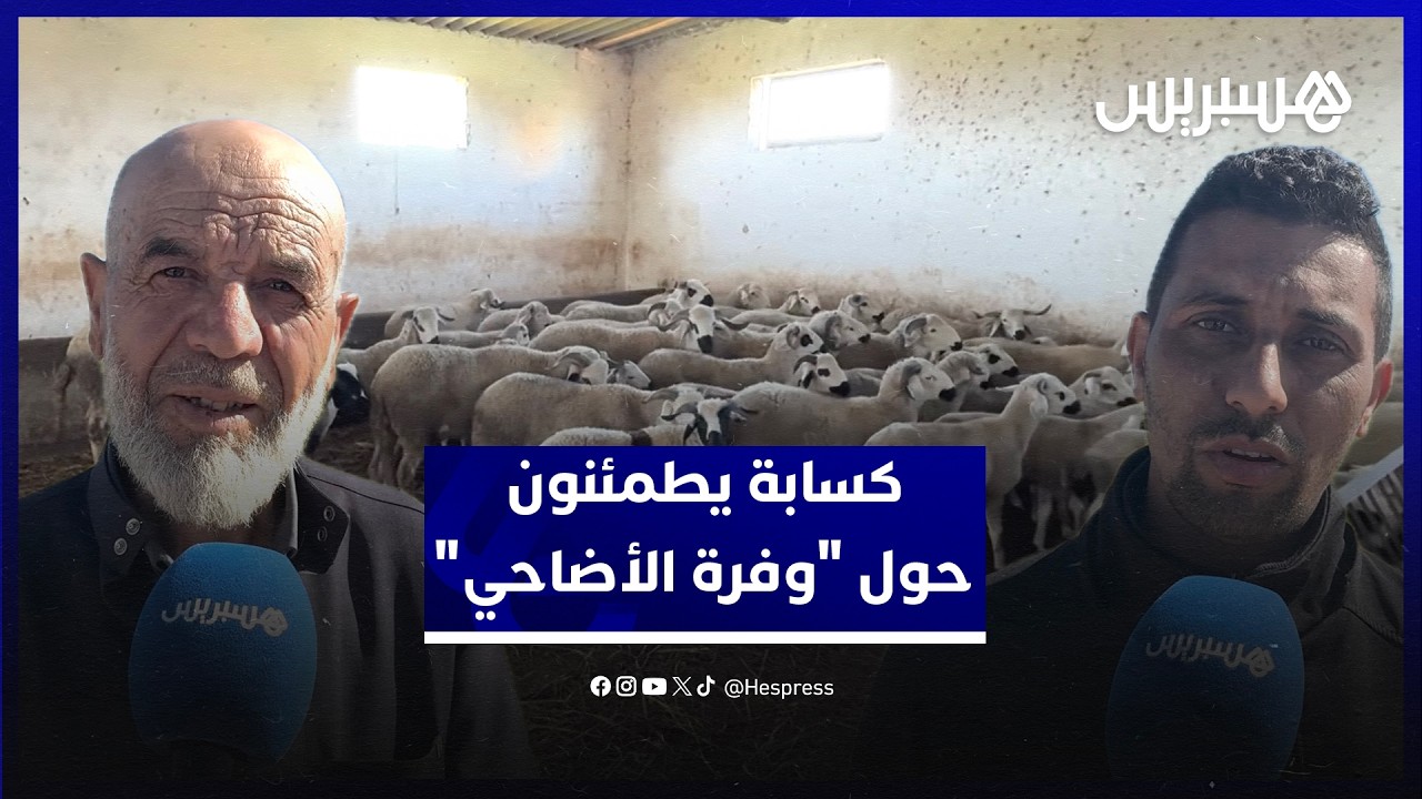 كسابة يطمئنون المغاربة حول "وفرة الأضاحي" ويقرون: "غلاء الأعلاف وسنوات الجفاف رفعت الأثمان" thumbnail