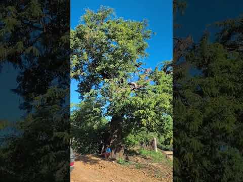 Comunidade de Brejo de Santana de Itacarambi MG 2025 @WNStudio - Antigas e Stories